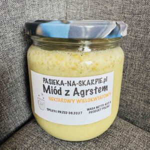 Miód leśny z agrestem