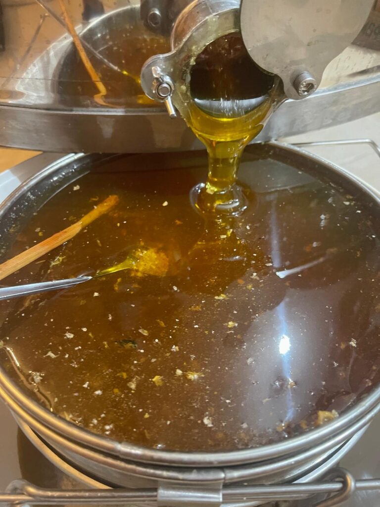 Jaki jest sekret produkcji miodu w naszej pasiece