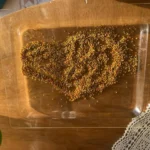Naturalny pyłek pszczeli z Pasieki Na Skarpie – bogactwo witamin, minerałów i białka.